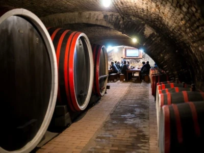 Osječko-baranjska županija bilježi turistički rast i u prošloj godini