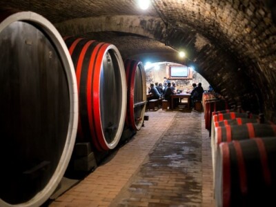 Osječko-baranjska županija bilježi turistički rast i u prošloj godini