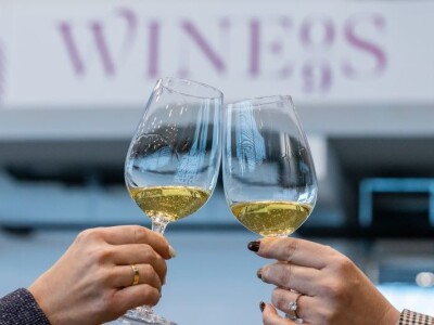 Osječko-baranjska županija bilježi turistički rast i u prošloj godini