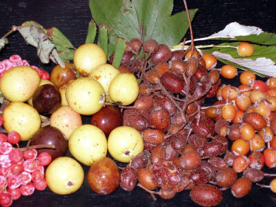 Intervju: doc. dr.sc. Damir Drvodelić