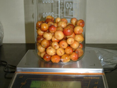 Intervju: doc. dr.sc. Damir Drvodelić