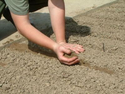 Intervju: doc. dr.sc. Damir Drvodelić