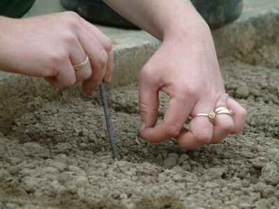 Intervju: doc. dr.sc. Damir Drvodelić