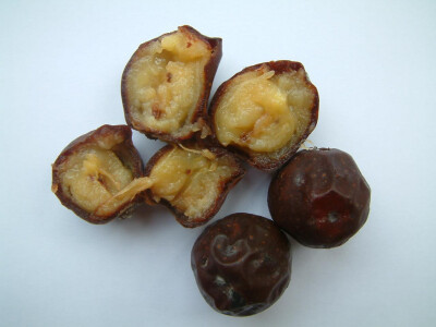 Intervju: doc. dr.sc. Damir Drvodelić