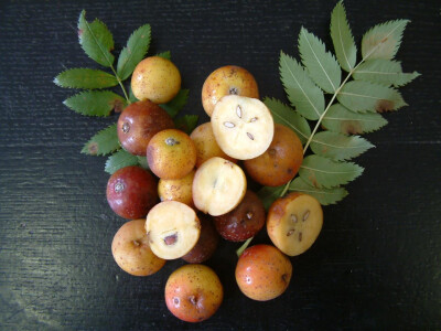 Intervju: doc. dr.sc. Damir Drvodelić