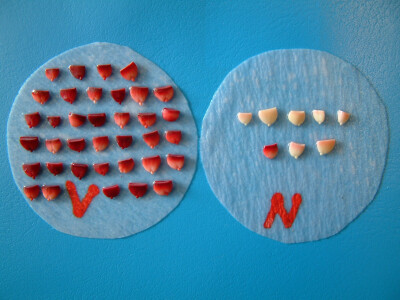 Intervju: doc. dr.sc. Damir Drvodelić