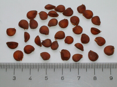 Intervju: doc. dr.sc. Damir Drvodelić