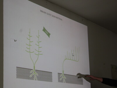 Osman Musić Osman Musić