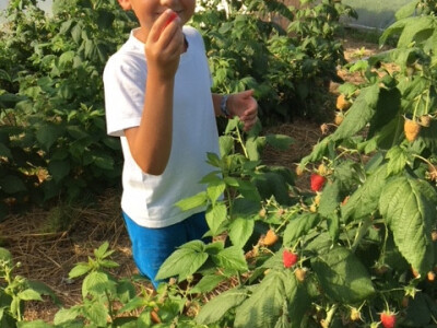 I osmogodišnji sin Fran voli zdravo voće