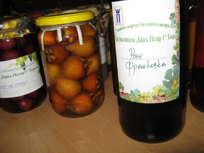 Osnovana učenička zadruga Oplenačka vizija 2019