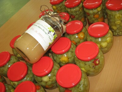 Osnovana učenička zadruga Oplenačka vizija 2019