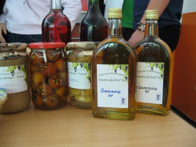 Osnovana učenička zadruga Oplenačka vizija 2019