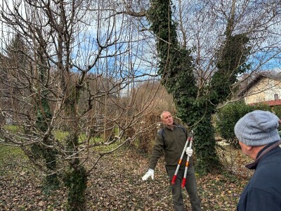 Osnove rezidbe za vrtlare početnike Osnove rezidbe za vrtlare početnike