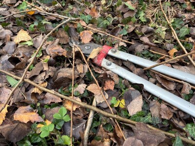 Osnove rezidbe za vrtlare početnike Osnove rezidbe za vrtlare početnike