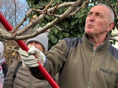 Osnove rezidbe za vrtlare početnike Osnove rezidbe za vrtlare početnike