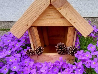 Osnovna škola u Kamenici ima najljepši školski vrt u Hrvatskoj Osnovna škola u Kamenici ima najljepši školski vrt u Hrvatskoj