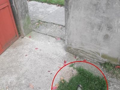 Ostavili mu ručnu bombu u dvorištu