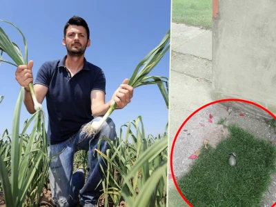 Ostavili mu ručnu bombu u dvorištu