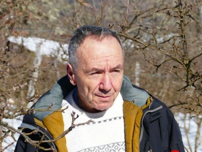 Oštećena stabla jabuke u Dobrunskoj Rijeci kod Višegrada