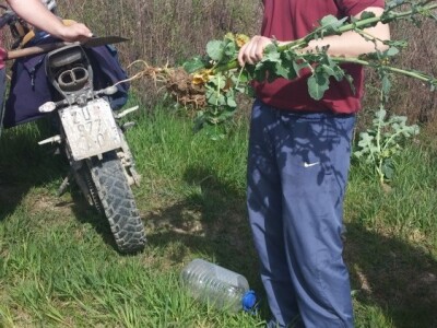 OPG Ostrihon OPG Ostrihon