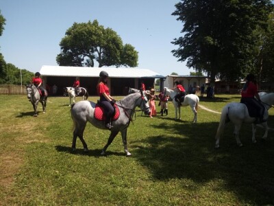 Osuđena lica rade s lipicanerima