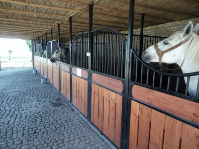 Osuđena lica rade s lipicanerima