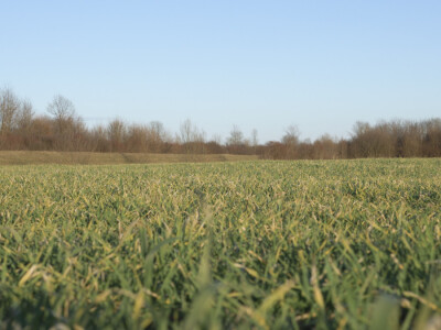 Otac me vidio kao knjigovođu, ali ja traktor ne bih mijenjao