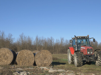 Otac me vidio kao knjigovođu, ali ja traktor ne bih mijenjao