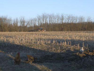 Otac me vidio kao knjigovođu, ali ja traktor ne bih mijenjao
