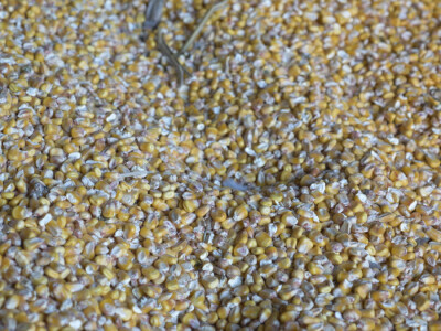 Otac me vidio kao knjigovođu, ali ja traktor ne bih mijenjao