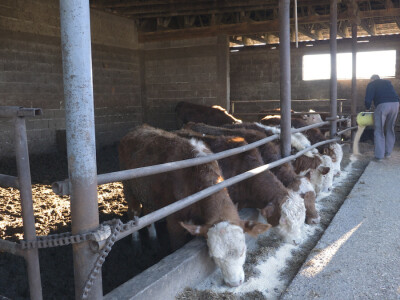 Otac me vidio kao knjigovođu, ali ja traktor ne bih mijenjao