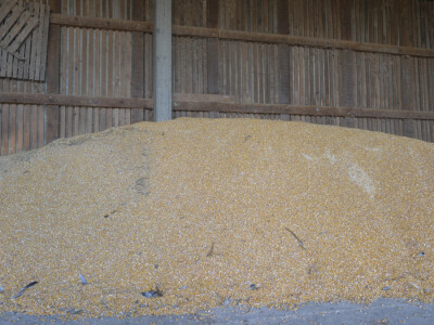 Otac me vidio kao knjigovođu, ali ja traktor ne bih mijenjao