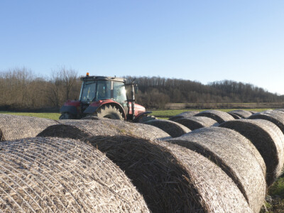 Otac me vidio kao knjigovođu, ali ja traktor ne bih mijenjao