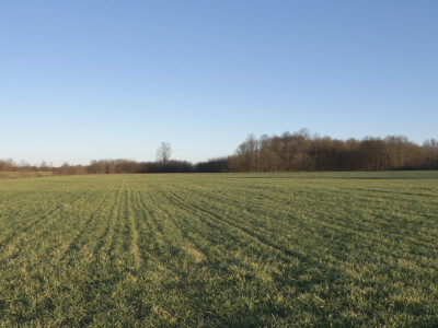 Otac me vidio kao knjigovođu, ali ja traktor ne bih mijenjao