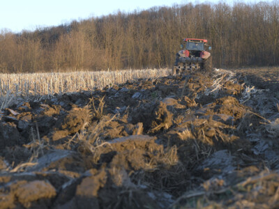 Otac me vidio kao knjigovođu, ali ja traktor ne bih mijenjao