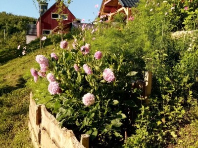 Otkrij Hrib Otkrij Hrib