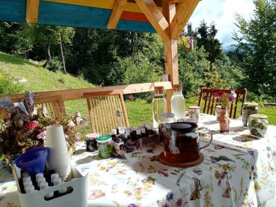 Otkrij Hrib Otkrij Hrib