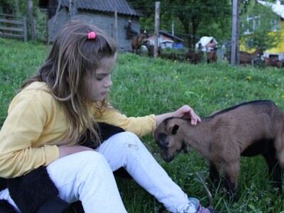 Otkrij Hrib Otkrij Hrib