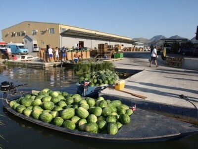 Otkupna stanica lubenica u Gradu Opuzenu Otkupna stanica lubenica u Gradu Opuzenu