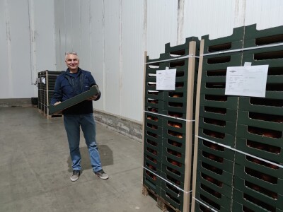 Otkupni centar tvrtke Enna Fruit u Donjem Miholjcu