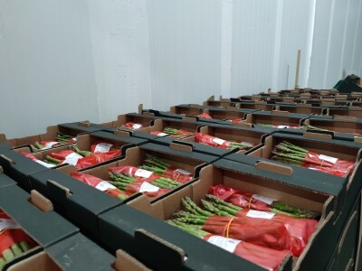 Otkupni centar tvrtke Enna Fruit u Donjem Miholjcu