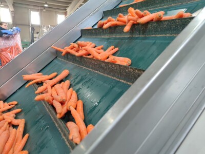 Otkupni centar tvrtke Enna Fruit u Donjem Miholjcu