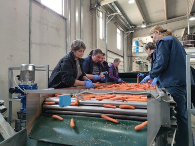 Otkupni centar tvrtke Enna Fruit u Donjem Miholjcu