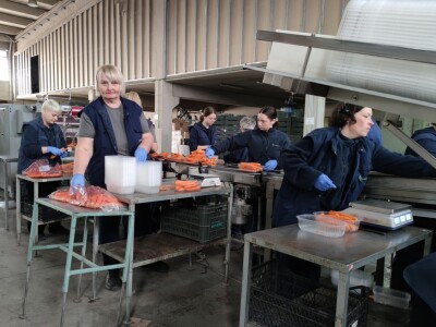 Otkupni centar tvrtke Enna Fruit u Donjem Miholjcu