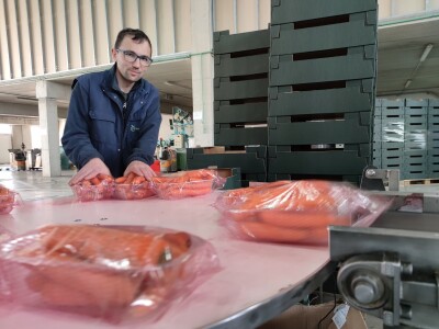 Otkupni centar tvrtke Enna Fruit u Donjem Miholjcu