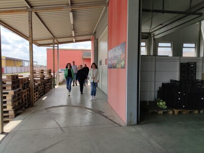 Otkupni centar tvrtke Enna Fruit u Donjem Miholjcu