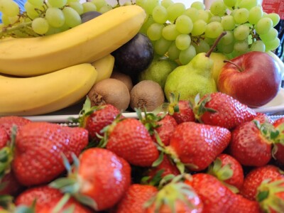 Otkupni centar tvrtke Enna Fruit u Donjem Miholjcu