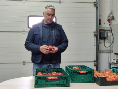 Otkupni centar tvrtke Enna Fruit u Donjem Miholjcu