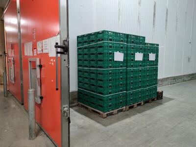 Otkupni centar tvrtke Enna Fruit u Donjem Miholjcu