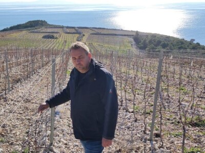 Otočno vinogradarstvo